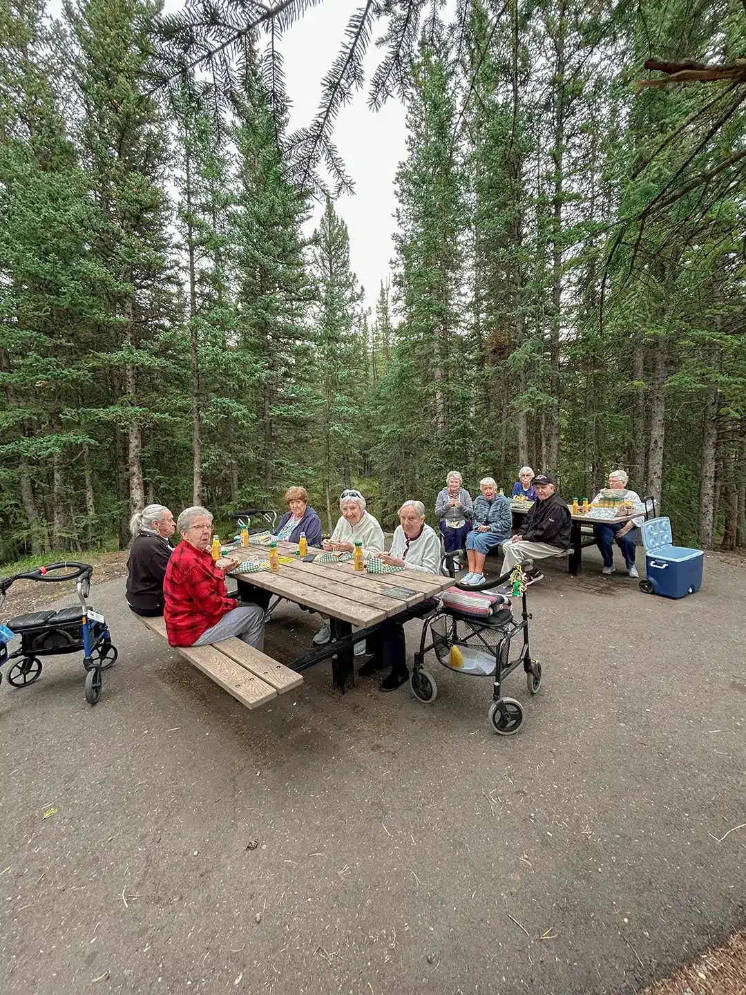 supported living Calgary